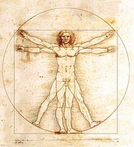 Drawing by artist Leonardo da Vinci