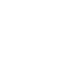 Dirt Devil